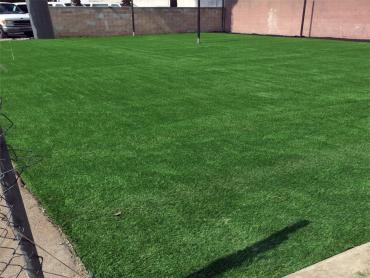 Artificial Grass Photos: Fake Pet Grass Keene California Landscape